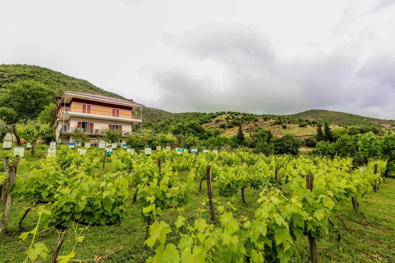 Country Home Genesi 20 Min From Trikala Exterior foto
