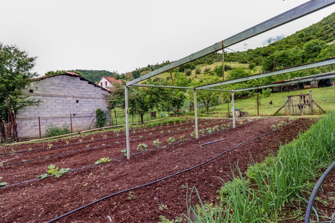 Country Home Genesi 20 Min From Trikala Exterior foto