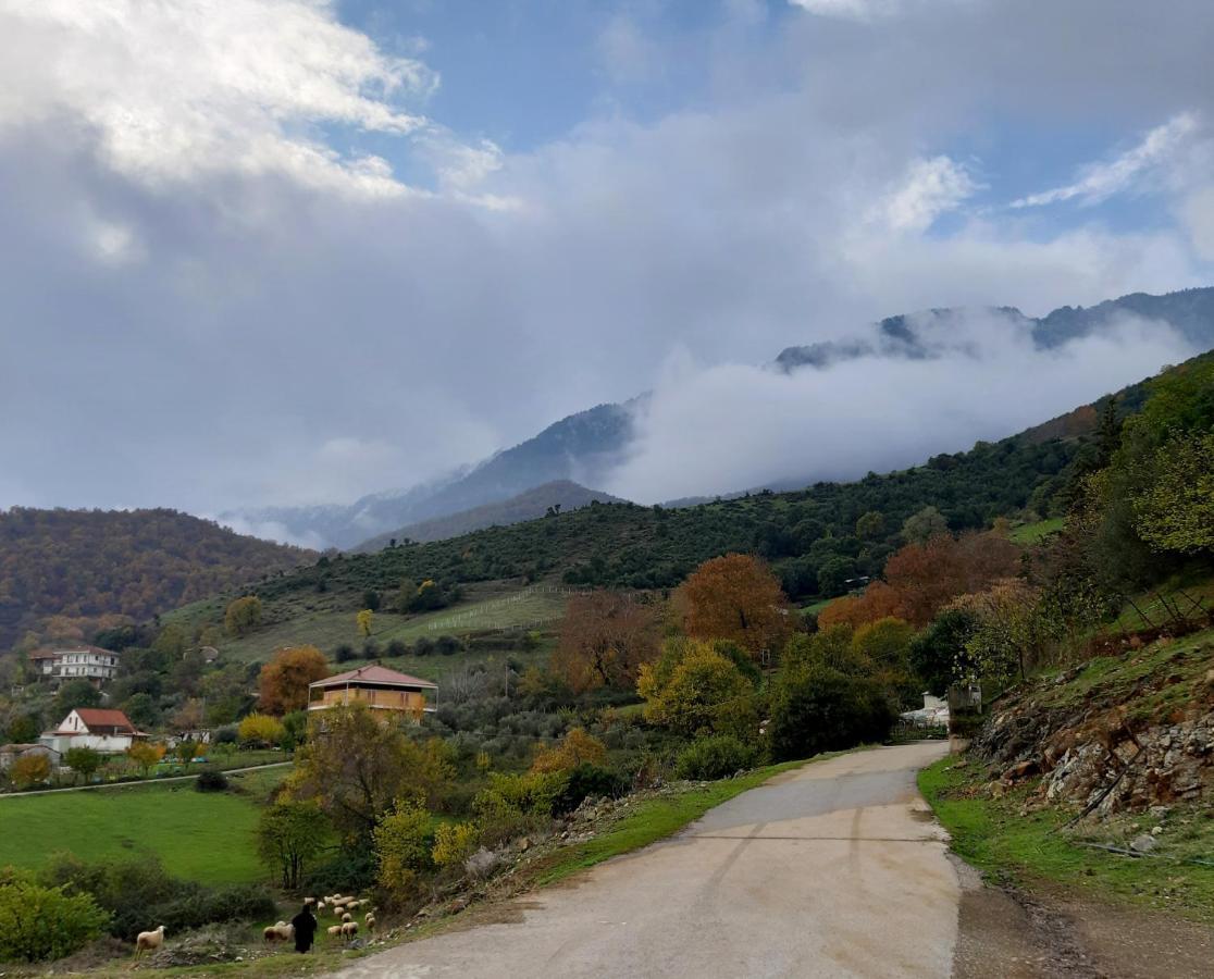 Country Home Genesi 20 Min From Trikala Exterior foto